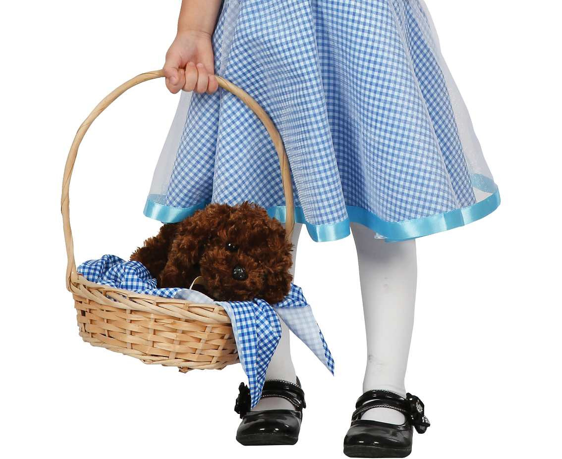Costume for child Dorothy (dress), size 92/104 cm EOL